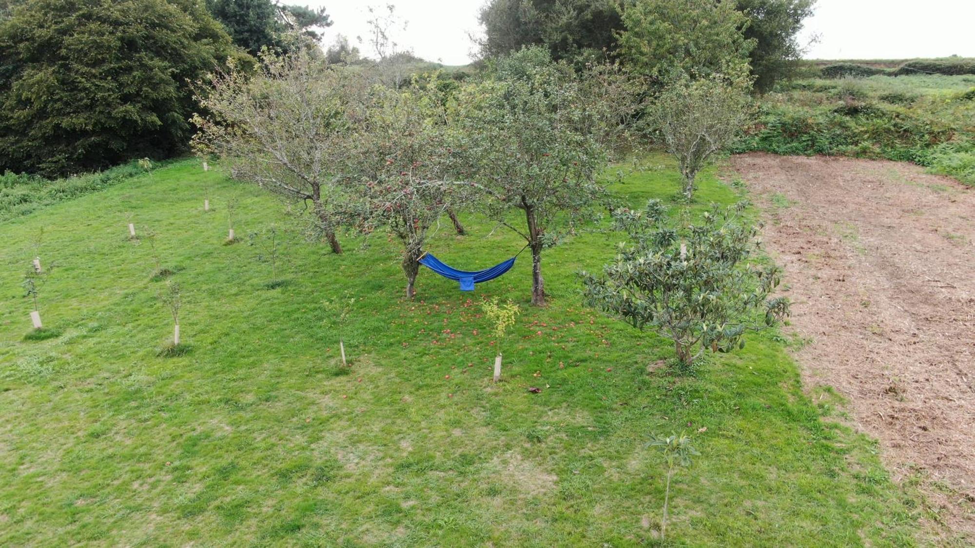 Villa A casa da Balbina Betanzos Esterno foto