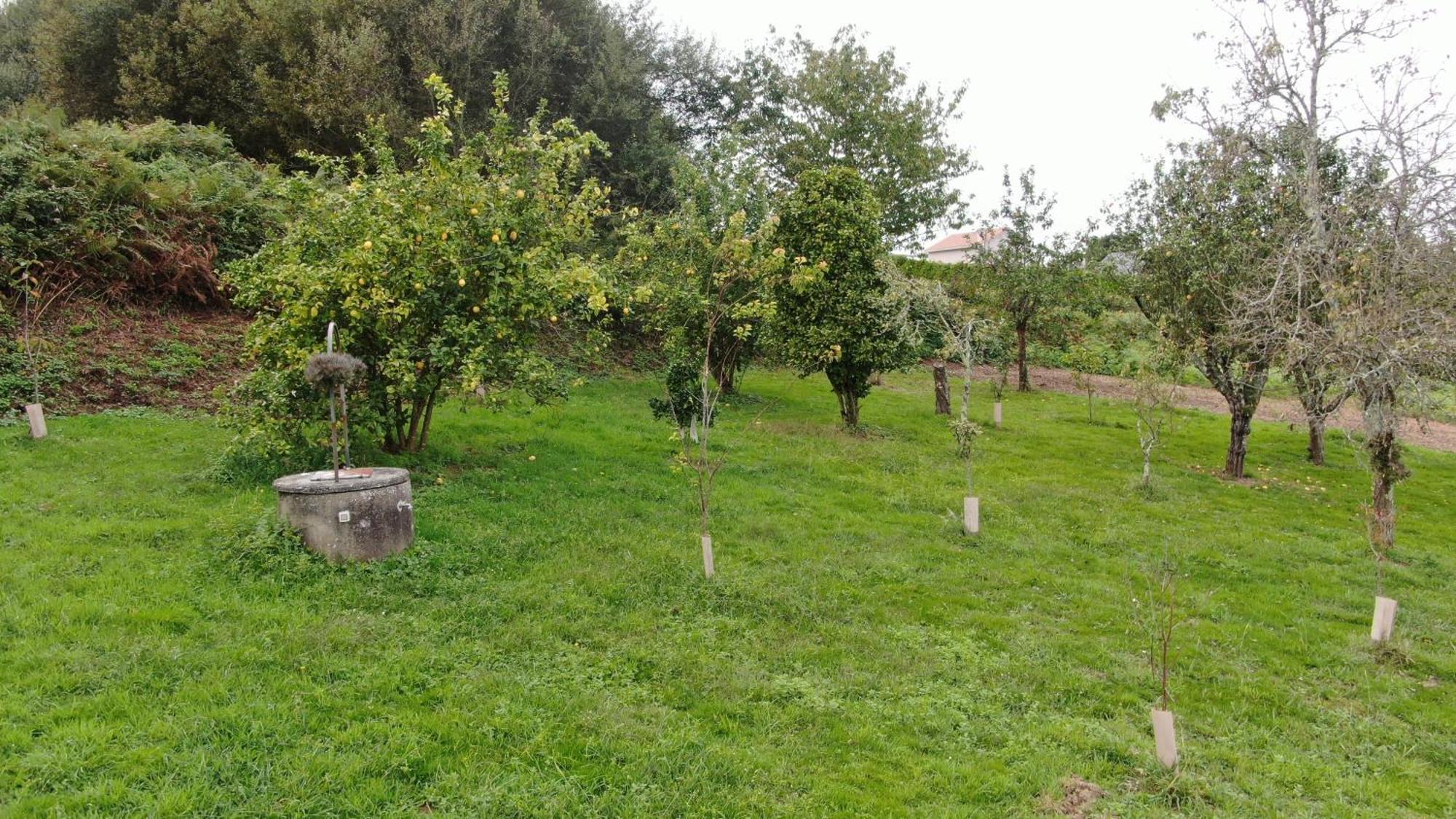 Villa A casa da Balbina Betanzos Esterno foto
